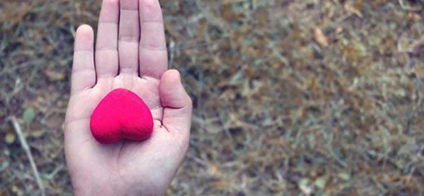 5 Ingredients to Develop Culture in Growing Companies